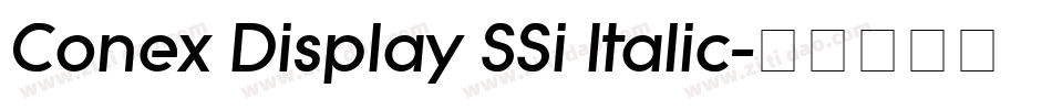 Conex Display SSi Italic字体转换